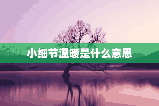 小细节温暖是什么意思